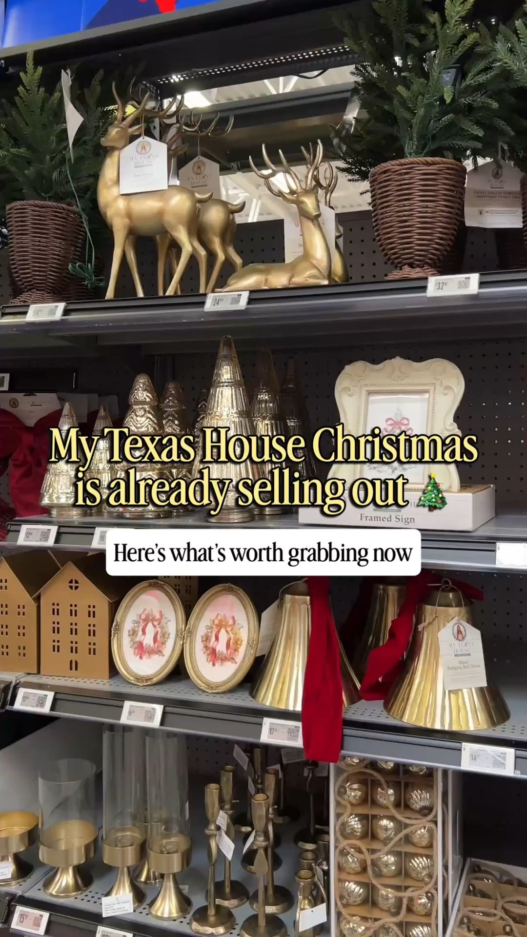 My Texas House Christmas decor is already selling out and it's only September! 😅🎄

This is Part 1 of my Walmart Christmas haul — the My Texas House line is giving elevated Texas Christmas 🎅🏼 These are the pieces actually worth grabbing before they're gone 👀

Comment CHRISTMAS and I'll send you the links! ❤️

#walmartchristmas #mytexashouse #christmasdecor #ltkholiday #ralphlaurenchristmas

#LTKSeasonal #LTKHome