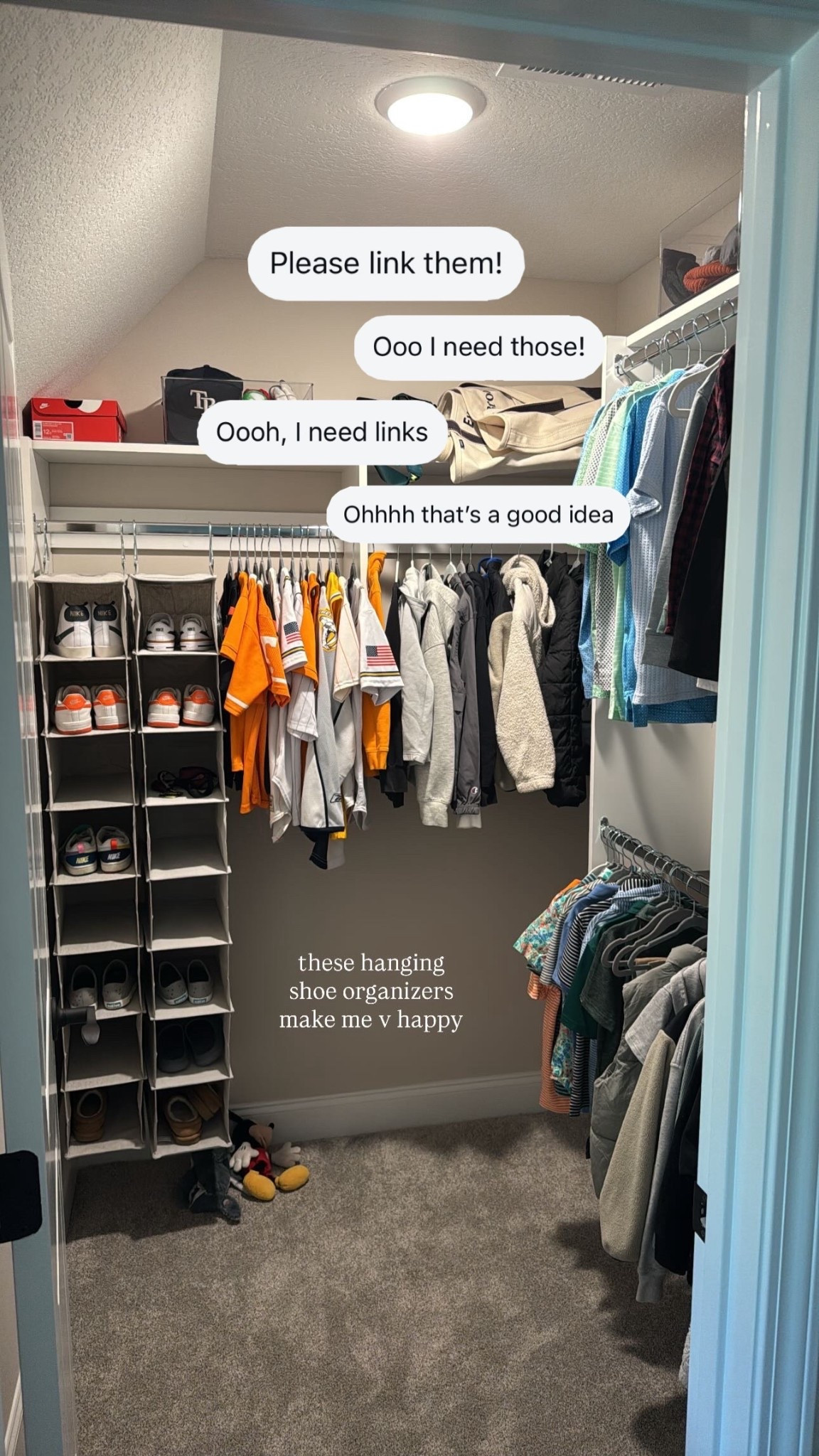 Closet organization. Hanging shoe organizer  

#LTKHome #LTKFindsUnder50