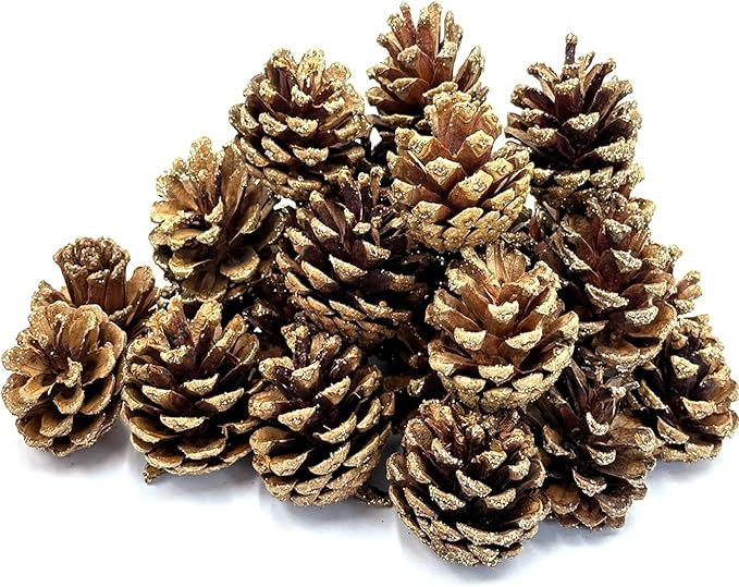 30 PCS Christmas Pine Cones, 1.6-2 Inch Natural Pine Cones, Glitter Pinecones for Vase & Bowl Fil... | Amazon (US)