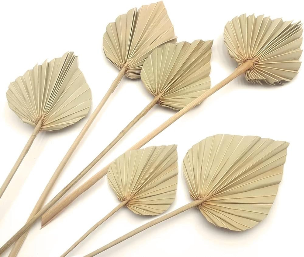 Boho Dried Palm Leaves, Small Dried Palms Plant Spears Fans, Palm Leaf with Stem for Home Office Wall Decor | Tropical Wedding Flowers Decor | Party Table Vase Decoration (Natural,6 Pcs) | Amazon (US)