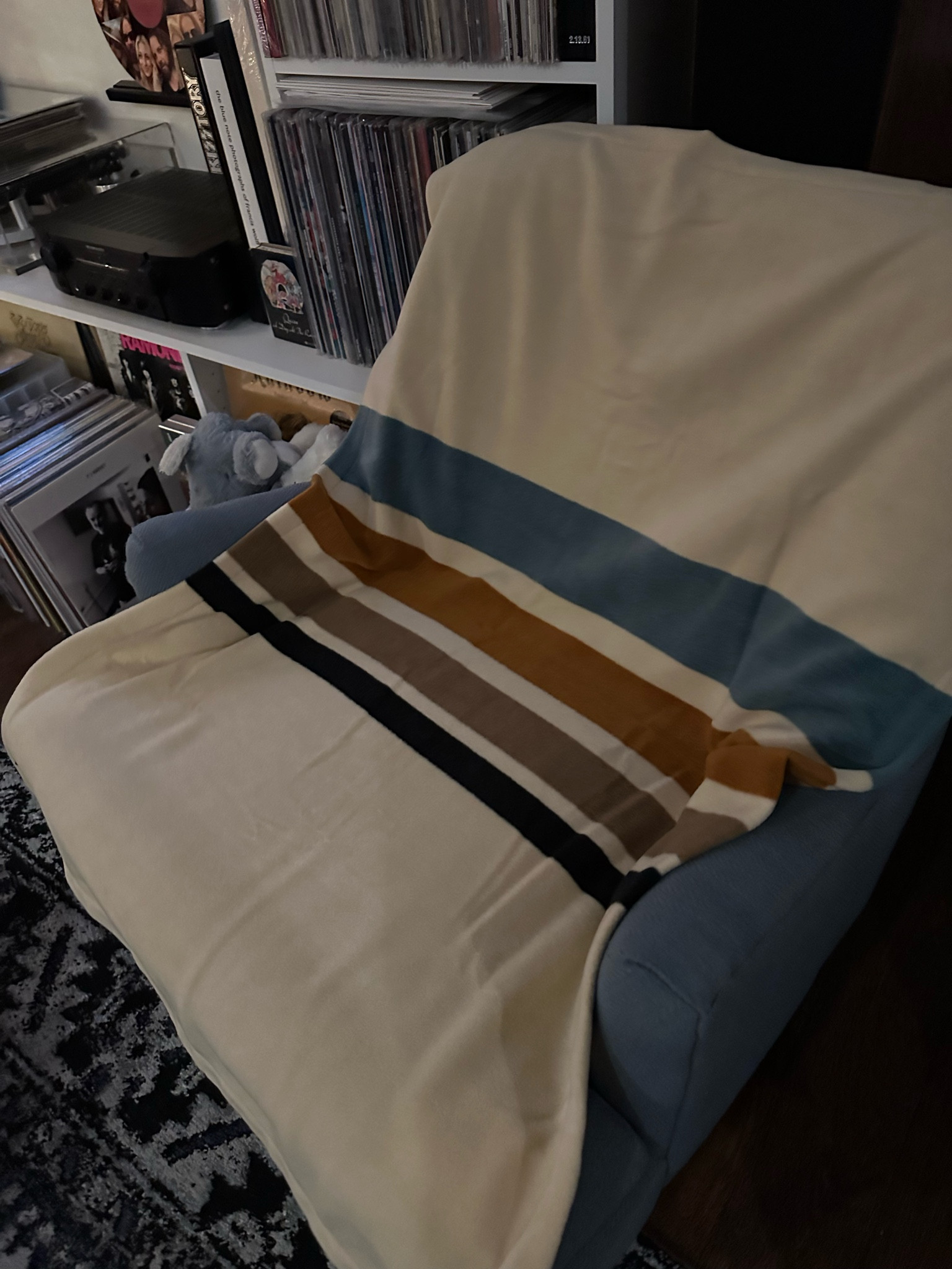 Doggy Pendleton throw 