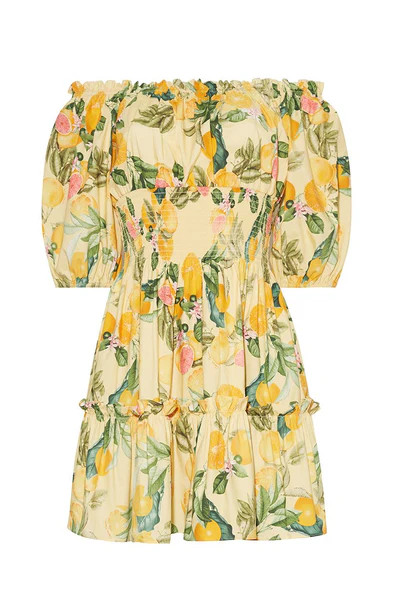 Sally Dress | Cara Cara New York