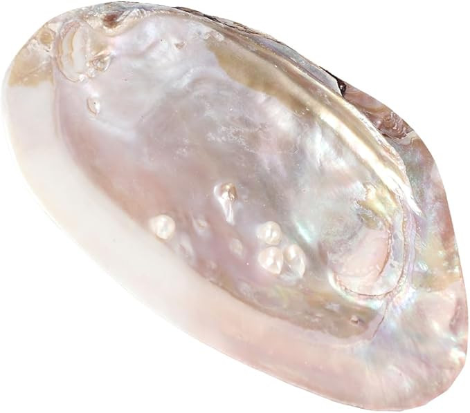 Pokinge Vintage Shell Jewelry Dish Tray Handcrafted Trinket Displays Dish Stand Decorative Seashe... | Amazon (US)