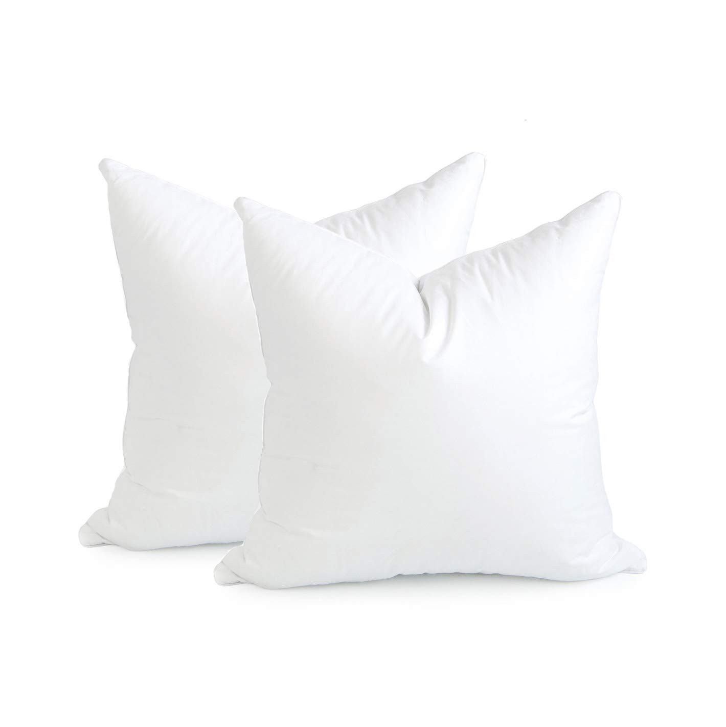 Hofdeco Premium Throw Pillow Inserts Set of 2, 20"x20" (for Cover Size 18"x18") Water Resistant S... | Amazon (US)