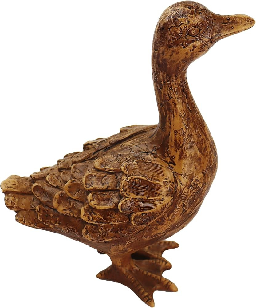 Hymmah Duck Home Decor Statue Rustic Home Decorations for Living Room, Boho Sculpture Resin Anima... | Amazon (US)