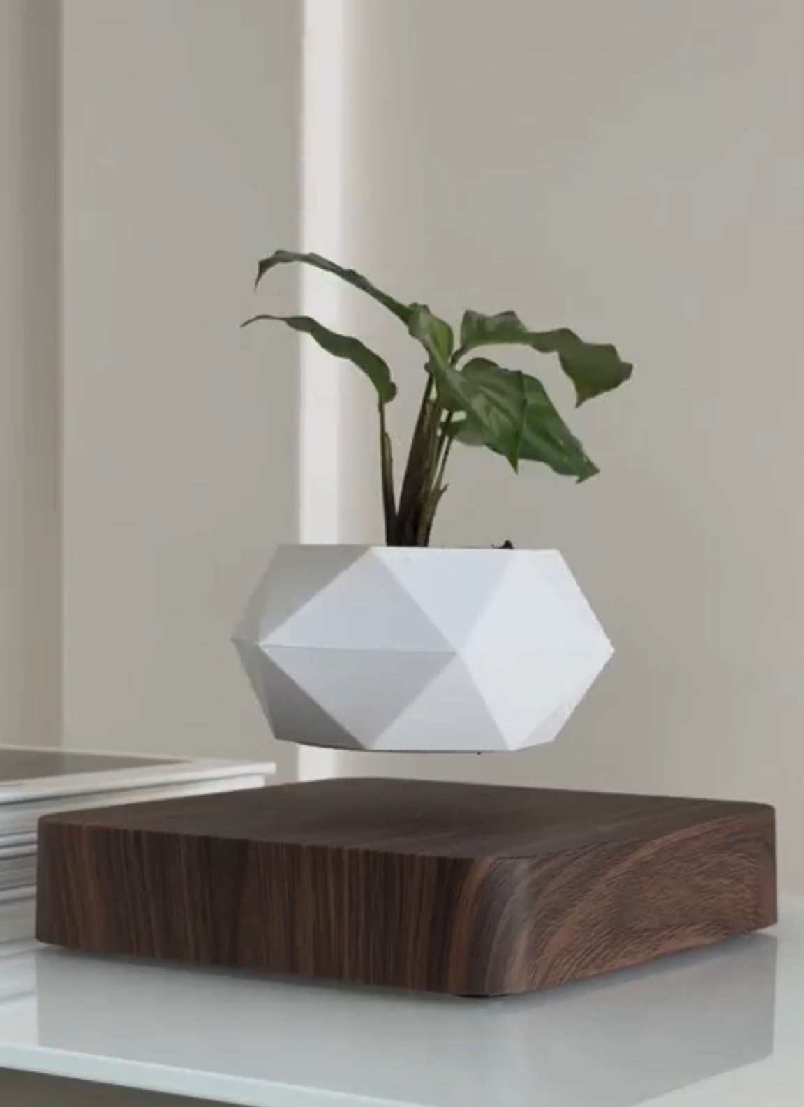 Scroll to shop!! Follow for more!!! Xo! ✨

#LTKValentine #LTKHome #LTKdayinmylife