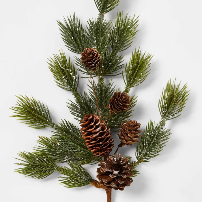 17in Frosted Taos Natural Stem Pick with Pinecones Brown - Wondershop™ | Target