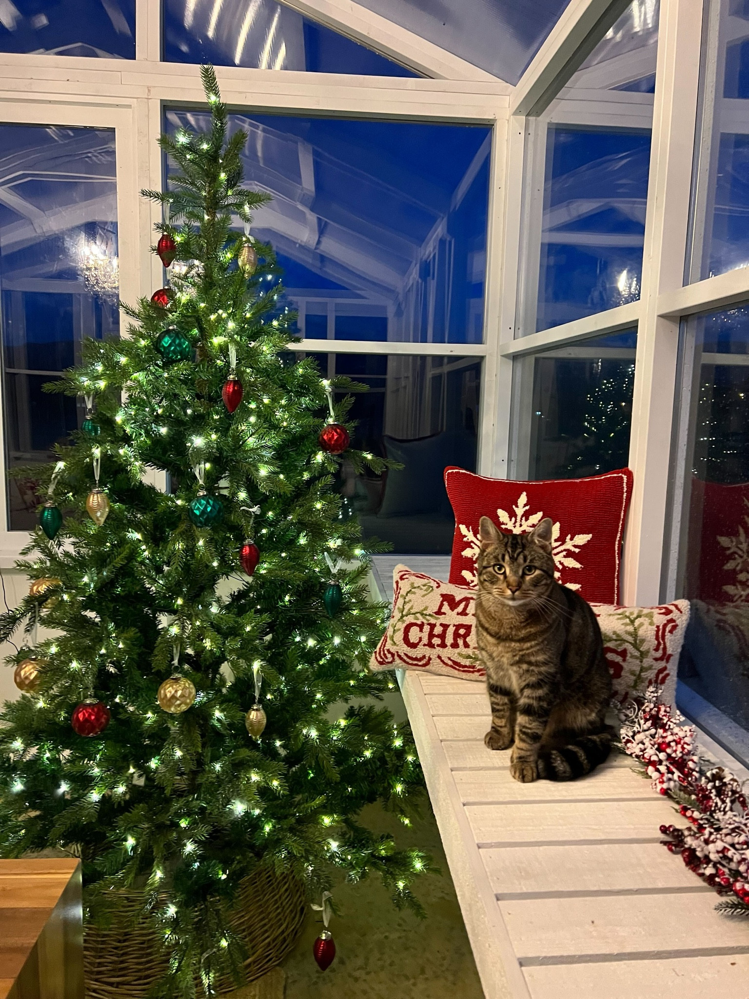 Our holiday greenhouse from @nwgreenpanels. 

www.nwgreenpanels.com

#LTKSeasonal #LTKHoliday #LTKhome