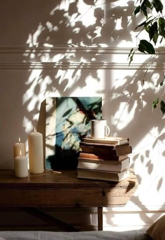 A beautiful life is built from what you repeatedly allow into your mind.

This summer, we created a carefully curated reading list.  It’s not “self-help” or a trend-driven productivity book you’ll find on social media.  We chose books that have actually shaped thoughtful people for generations.

Cultivated, refined women are reading three books at a time, at all times:  
— classic literature to deepen emotional intelligence and discernment
— history to understand the rise and decline of civilizations
— philosophy and theology to sharpen judgment, clarity, and moral grounding

If you’ve been craving more depth, more articulation, more substance, join our summer reading challenge.  

#silkandcedar #cultivatedwomen
#womenofsubstance

#LTKselfcare #LTKOver40
