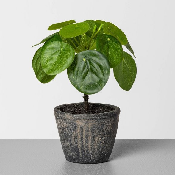 6.5" Faux Pilea Potted Plant - Hearth & Hand™ with Magnolia | Target