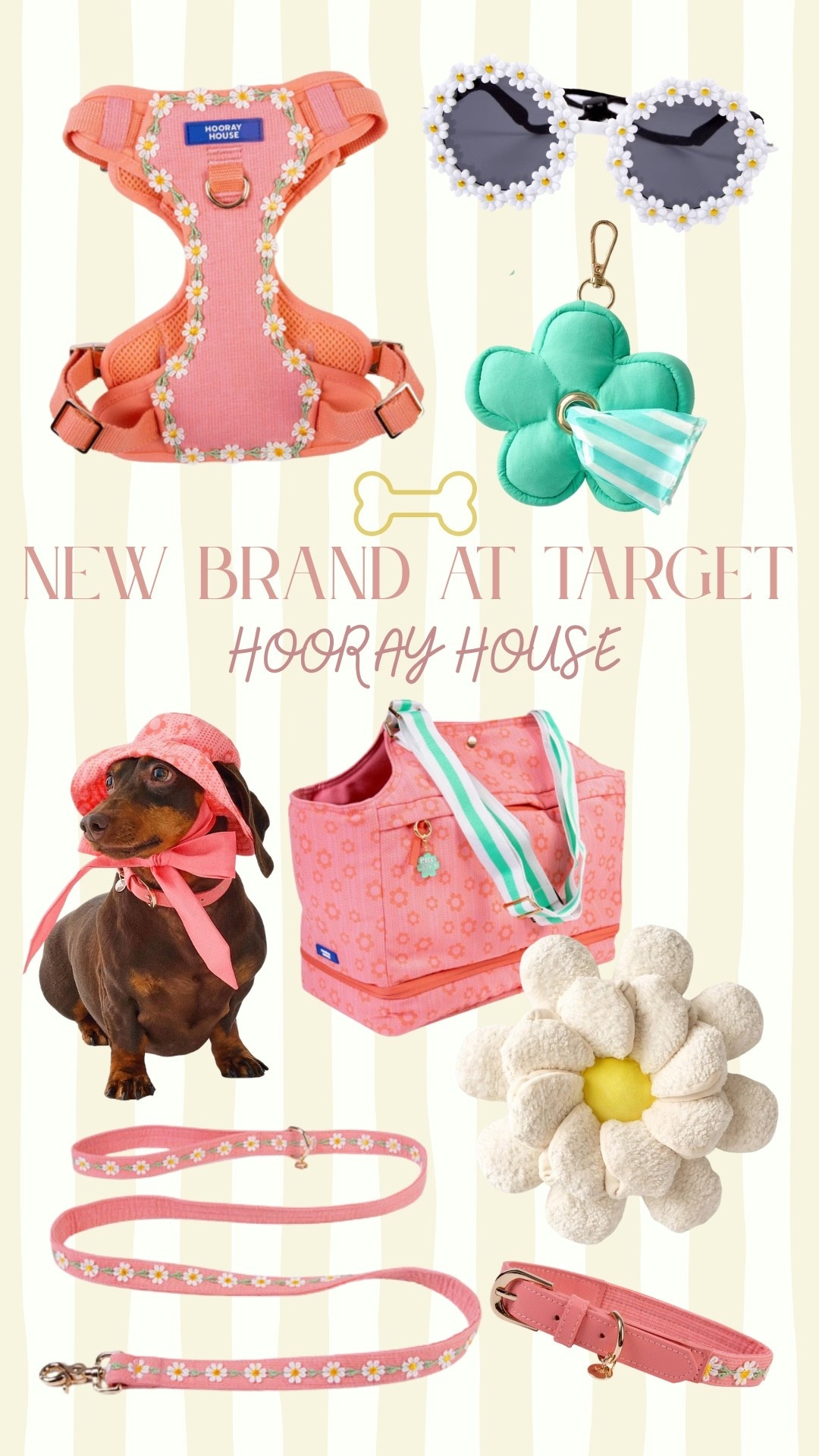 New brand at target for pets: Hooray House! And it’s very blooming nest approved ;)

#LTKmorningroutine #LTKdayinmylife