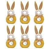 DII Napkin Rings for Easter, Spring, Dinners, Parties, or Everyday Use,Set of 6, Bunny | Amazon (US)