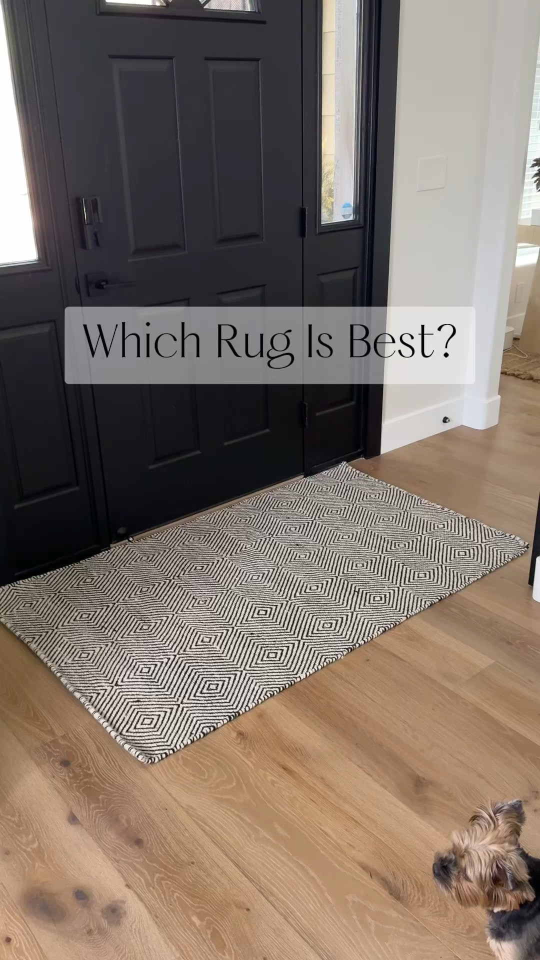 Which of these 3 rugs do you like best? Wayfair has their Big Holiday Sale happening and it’s a great time to score a new entryway rug or in a bigger size for your living room or bedroom 
Get up to 60% off and fast shipping! 

#LTKSeasonal #LTKHome #LTKVideo