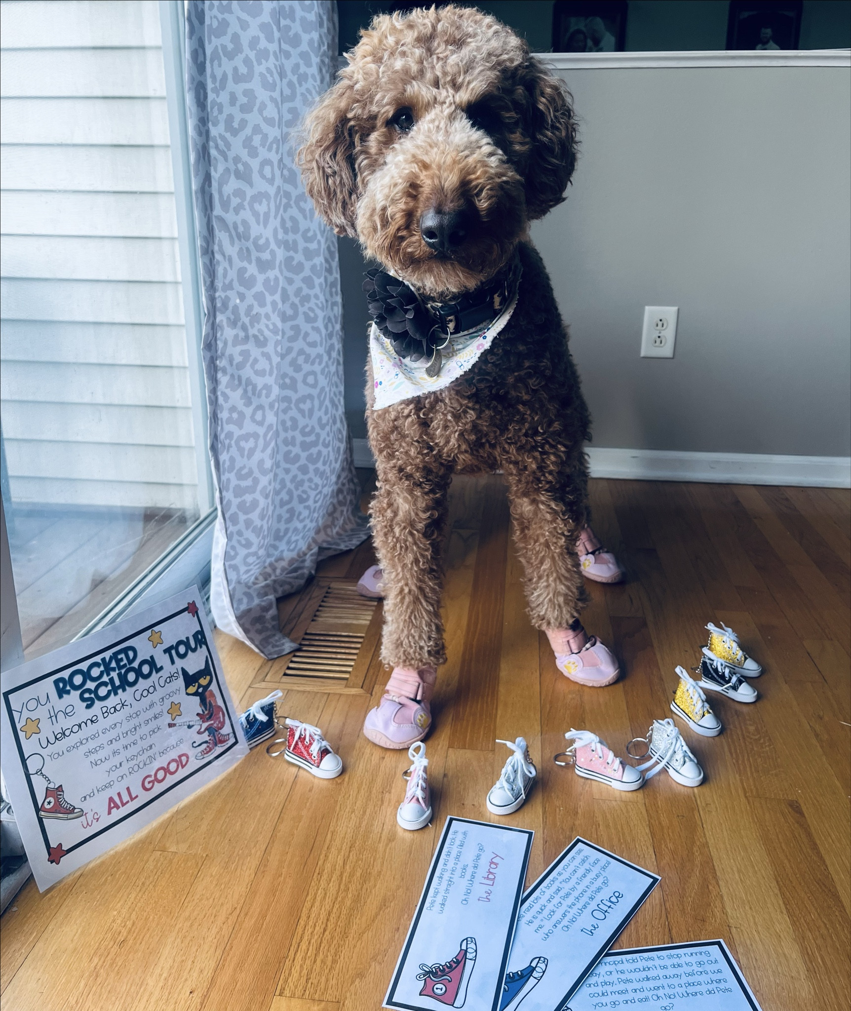 ROCKIN’ in MY SCHOOL SHOES: BTS TOUR! 🎸🐾
this year I’m kicking off something PAWS-itively cool for my FIRSTIES — a little school TOUR to help them feel COOL, CONFIDENT, and totally CAT-fident on day one. 😎👟

we’ll STRUT through the halls like PETE himself — hit the cafeteria, nurse, library, all the key spots — because when you know where to go,
🎶 “It’s ALL GOOD!” 🎶

and when they roll up to our FANCY FIRSTIE HQ?
BOOM. ✨
a sparkly CHUCK keychain waiting just for them — not Air Force Ones, but trust…
we’re still ROCKIN’ like we’re in a Nelly video.
“Gimme two PURRS… I mean, PAIRS!” 😹

YES — even Luna’s rockin’ her shoes! 🐶💖
because this BTS tour? It’s got MAIN CHARACTER energy


#LTKTeacher 

#LTKSeasonal #LTKSaleAlert #LTKKids