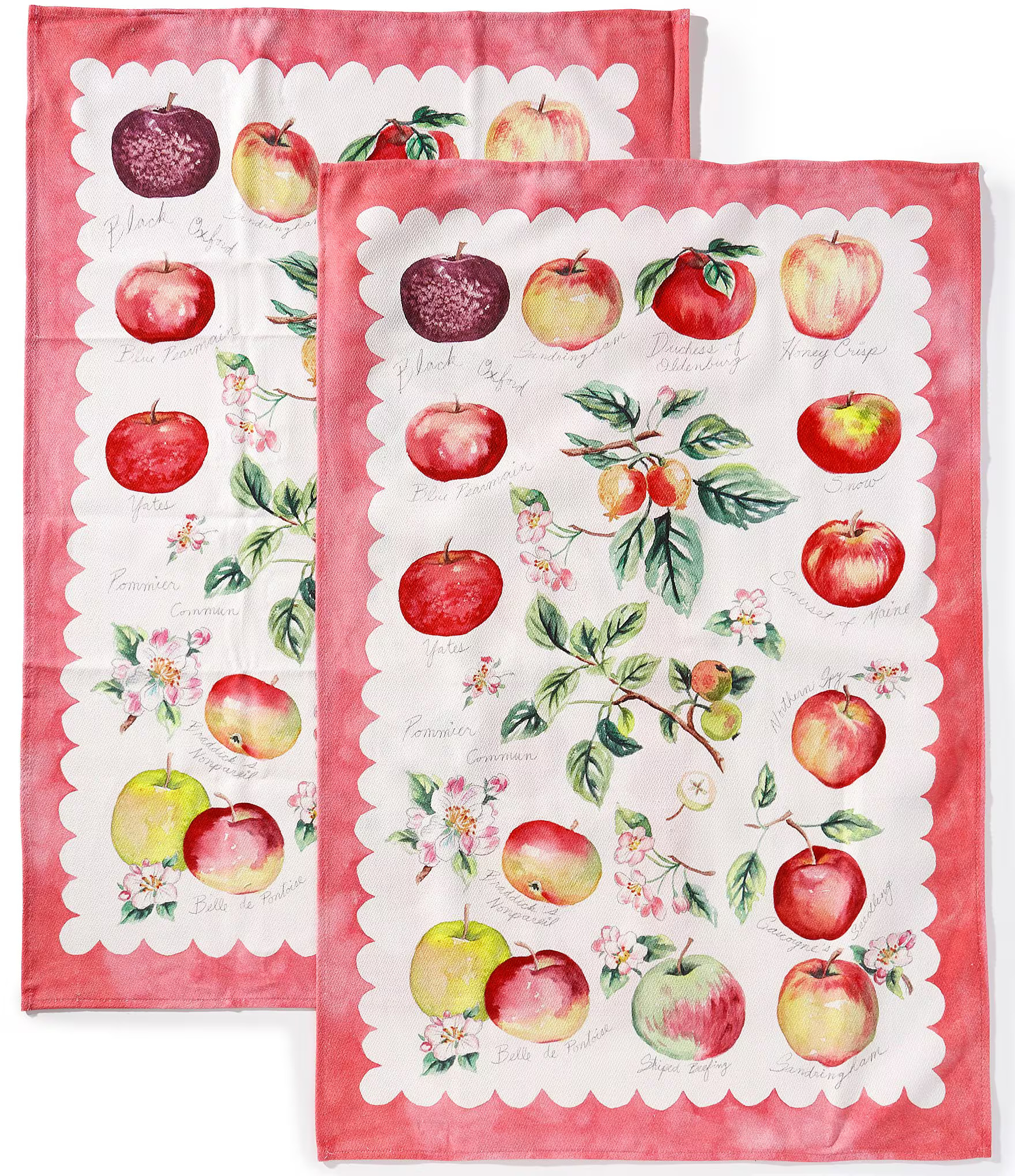 Southern Living Apple Kitchen Towels, Set of 2 | Dillard's | Dillard's