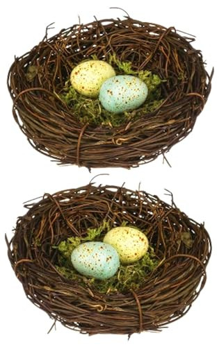The Bridge Collection 4" and 3.5" Speckled Eggs Bird Nest - Set of 2 - Grapevine Decorations - Decorative Bird Nests - Floral Home Decor | Amazon (US)