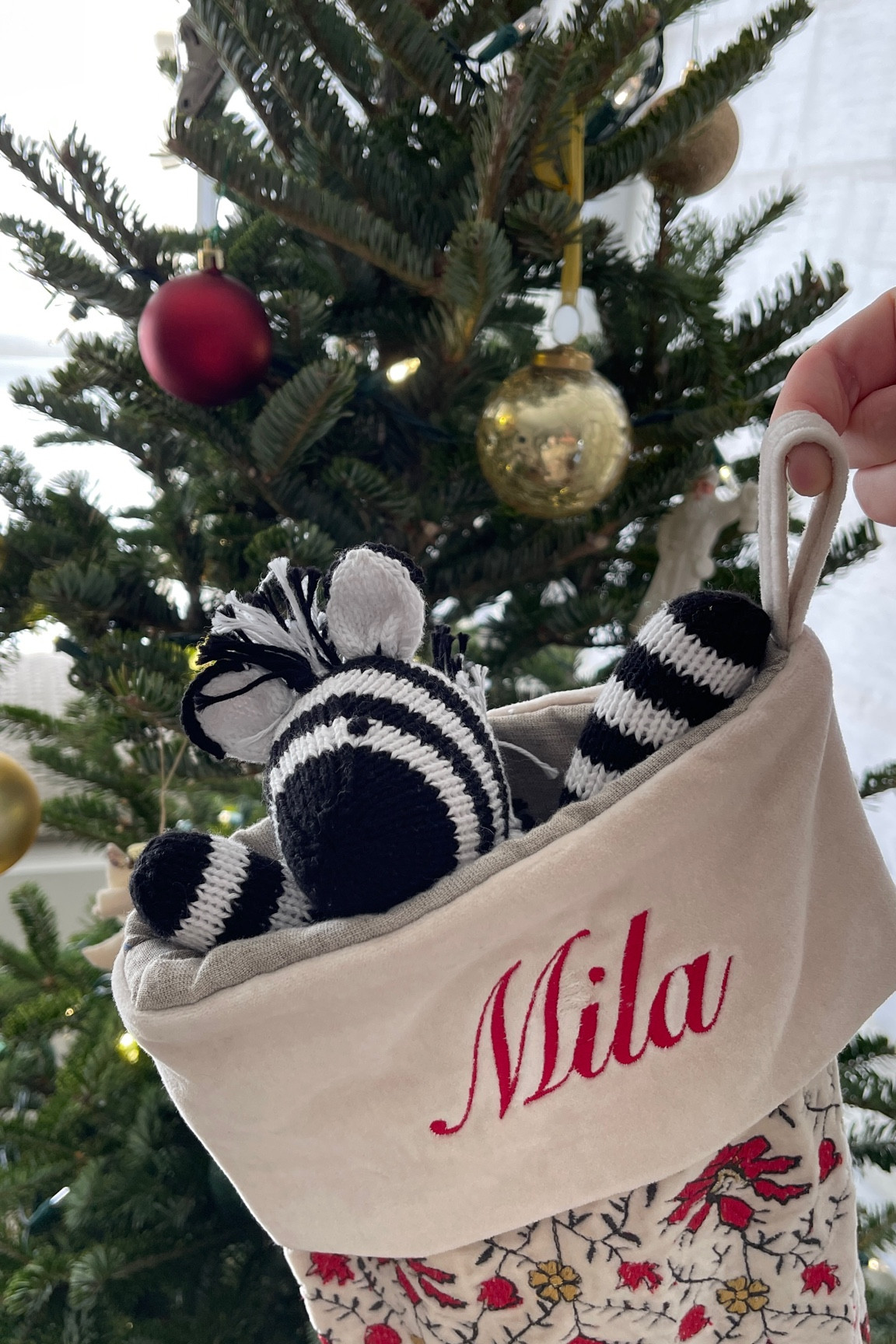 Sweet little baby gift 🕊️ 

Christmas stocking is Garnet Hill

#LTKHoliday #LTKbaby #LTKfamily