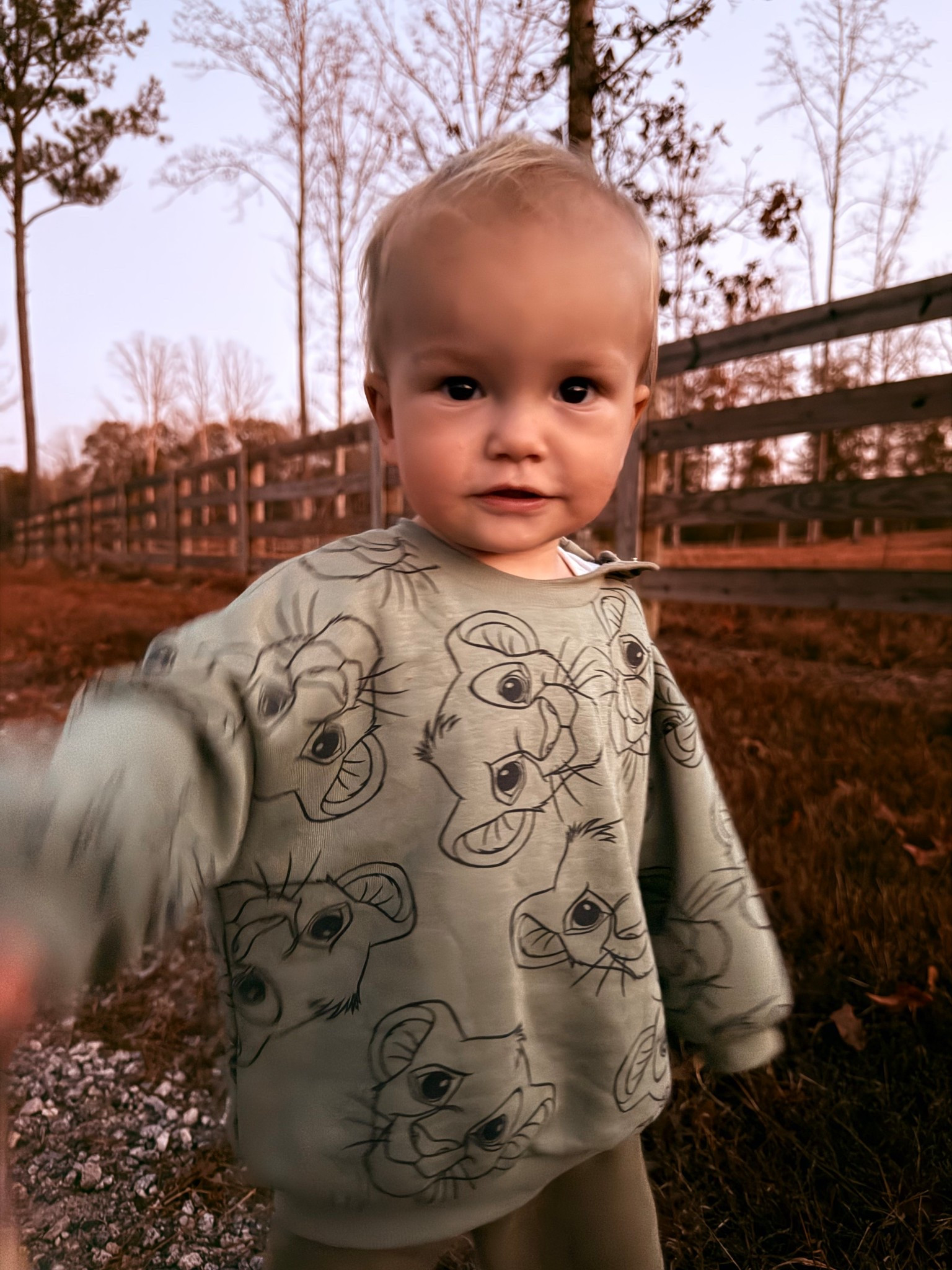 Baby boy Simba outfit. 

#LTKTravel #LTKBaby #LTKmomlife