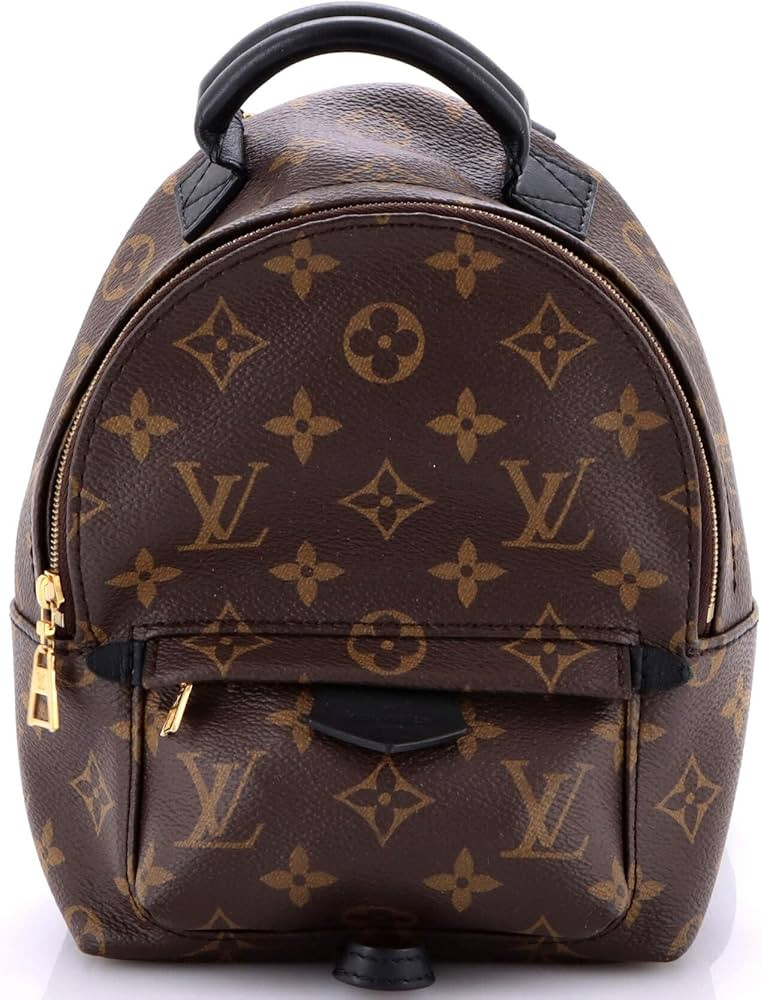 Amazon.com: Louis Vuitton, Pre-Loved Palm Springs Backpack Monogram Canvas Mini, Brown : Amazon L... | Amazon (US)