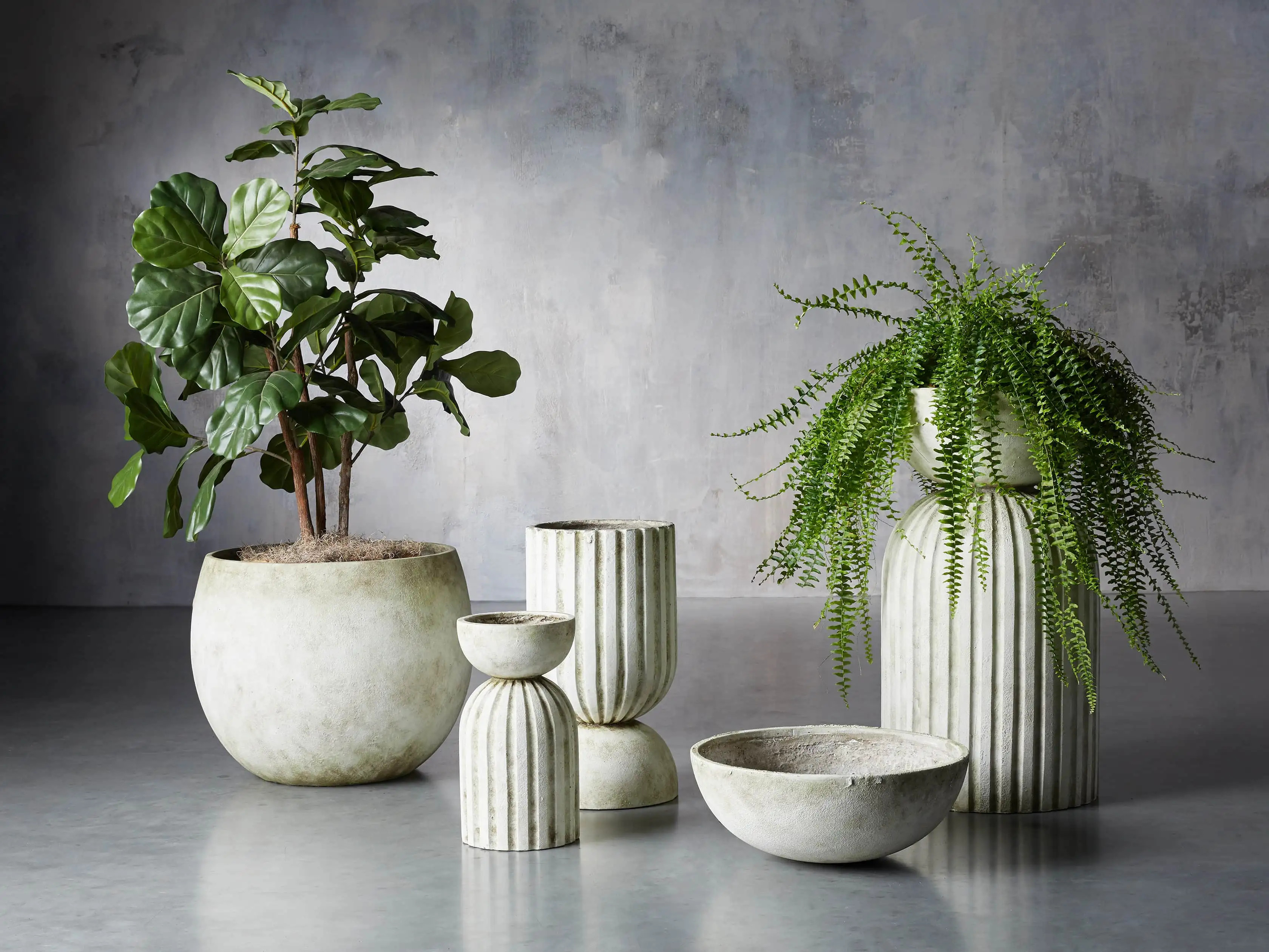 Miramar Planter Bowl | Arhaus