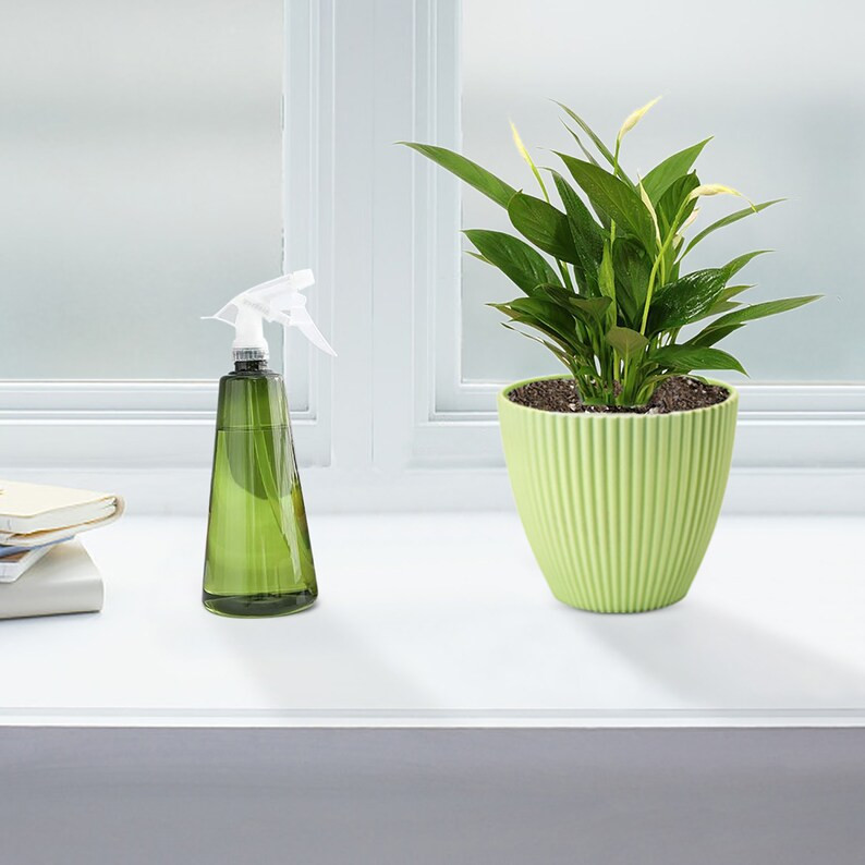 Set of 5 Plastic Planters Indoor Flower Plant Pots 6 Inch | Etsy | Etsy (US)