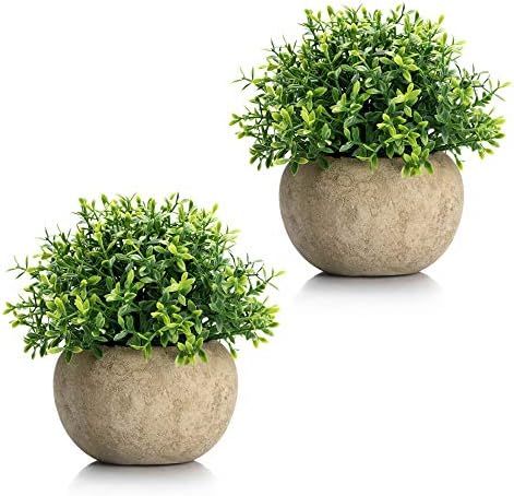 Velener Mini Plastic Artificial Plants Benn Grass in Pot for Home Decor (Set of 2) | Amazon (US)