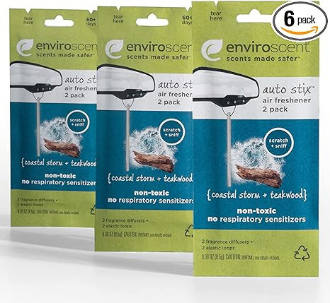 Enviroscent Non-Toxic Hanging Car Air Freshener (Coastal Storm + Teakwood) 3 Packs of 2 Auto Stix... | Amazon (US)