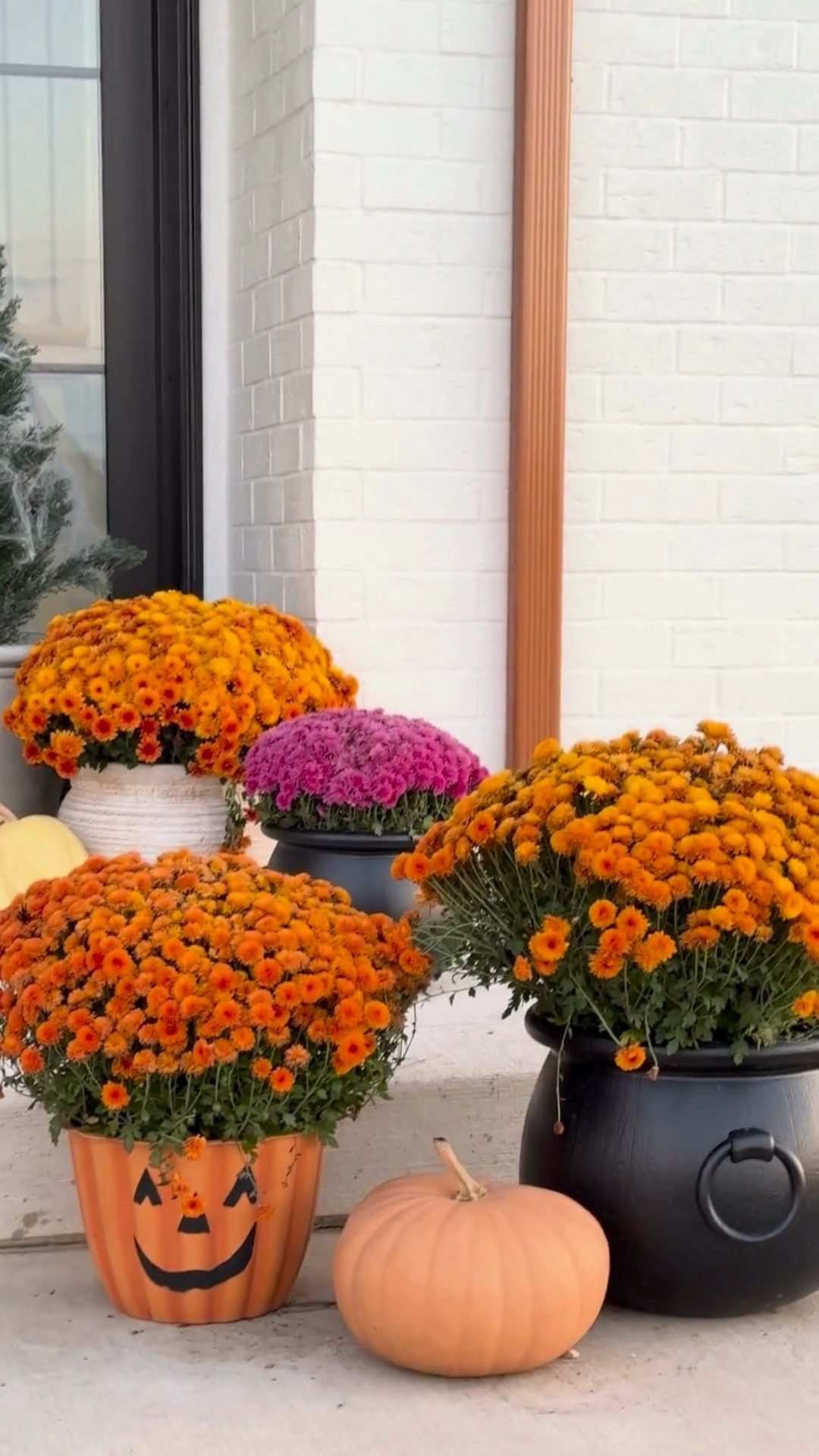 Cauldron Pot Hack for under $20/piece! These look just like the $200 Grandin Road option!  

#LTKSeasonal #LTKHalloween #LTKHome