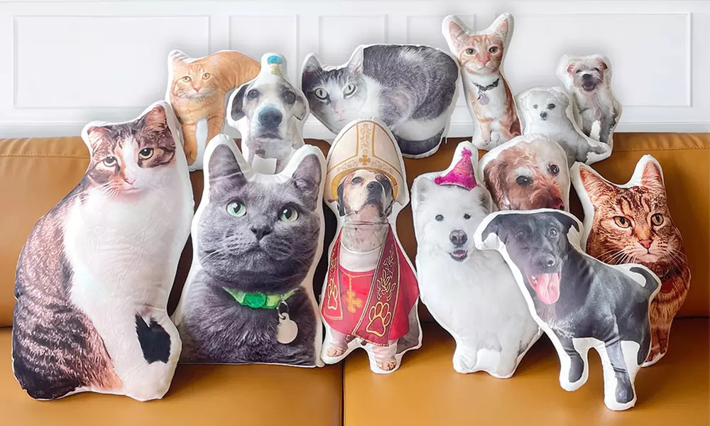 One Custom 3D Pet Pillow from Justyling (73% Off) | Groupon North America