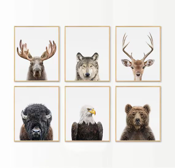 Nursery Wall Art Decor Woodland Animals Print Set of 4 Moose - Etsy | Etsy (US)