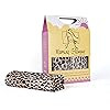 Morning Glamour 2-Pack Signature Box Pillowcases, Leopard | Amazon (US)