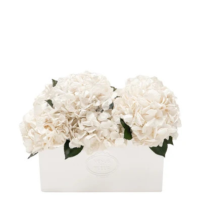 Serene Porcelain Vase | Venus ET Fleur