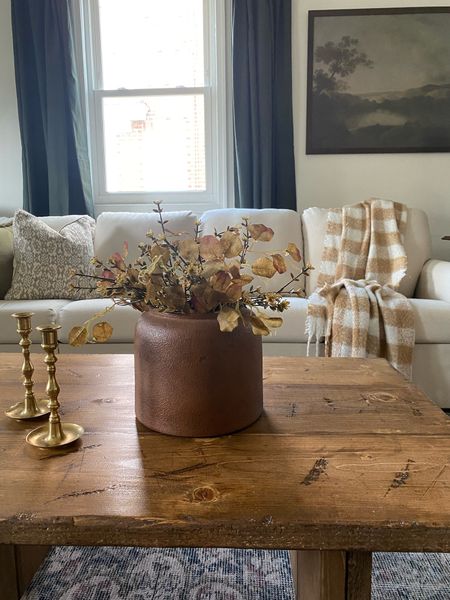 Simple Fall touches to warm up our living room 

#LTKhome #LTKstyletip #LTKSeasonal