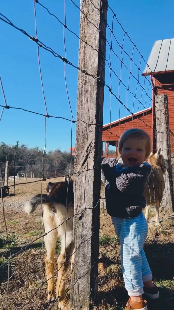 petting goats 🐐, walking the trails 🌿, seeing waterfalls 💦, and the beautiful sunshine ☀️ made for the most lovely and peaceful winter day 🫶🏽 - heart so full !!! ✨

#LTKtravel #LTKfamily #LTKbaby