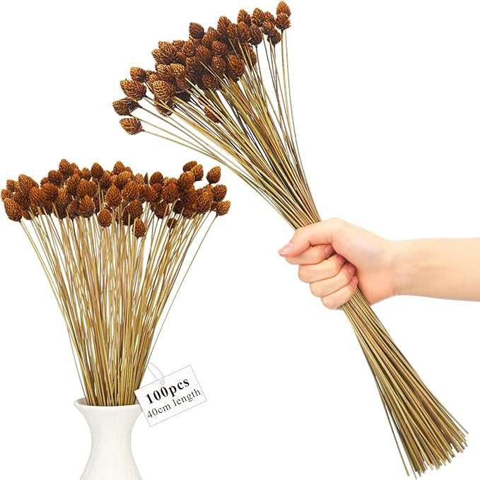 WILLBOND 100pcs Dried Pine Cone Flowers with Stems Natural Mini Dried Flowers Bouquet Bulk 40 cm ... | Amazon (US)