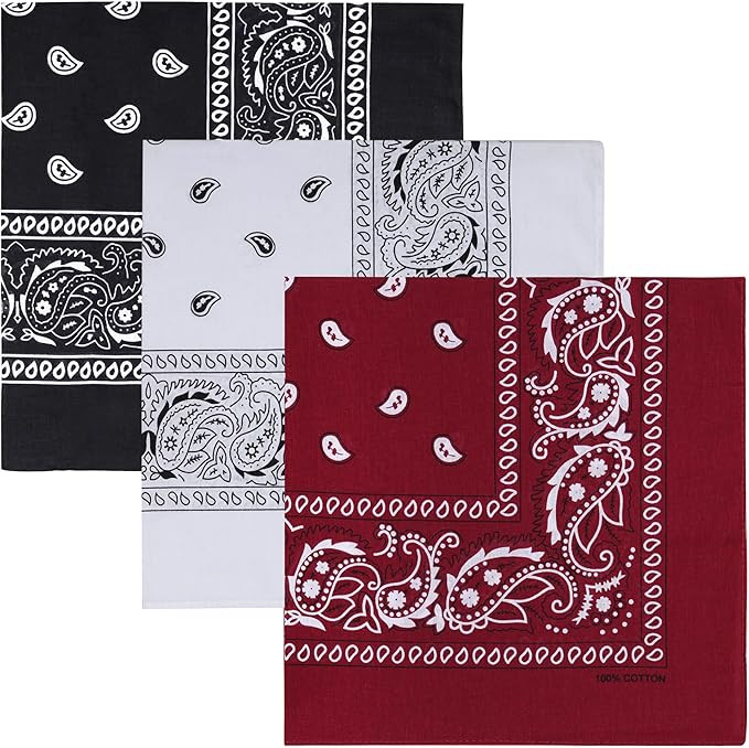 Raylarnia 100% Cotton Bandanas for Men Women, 22" Multi-Color Scarf 3 PCS | Amazon (US)