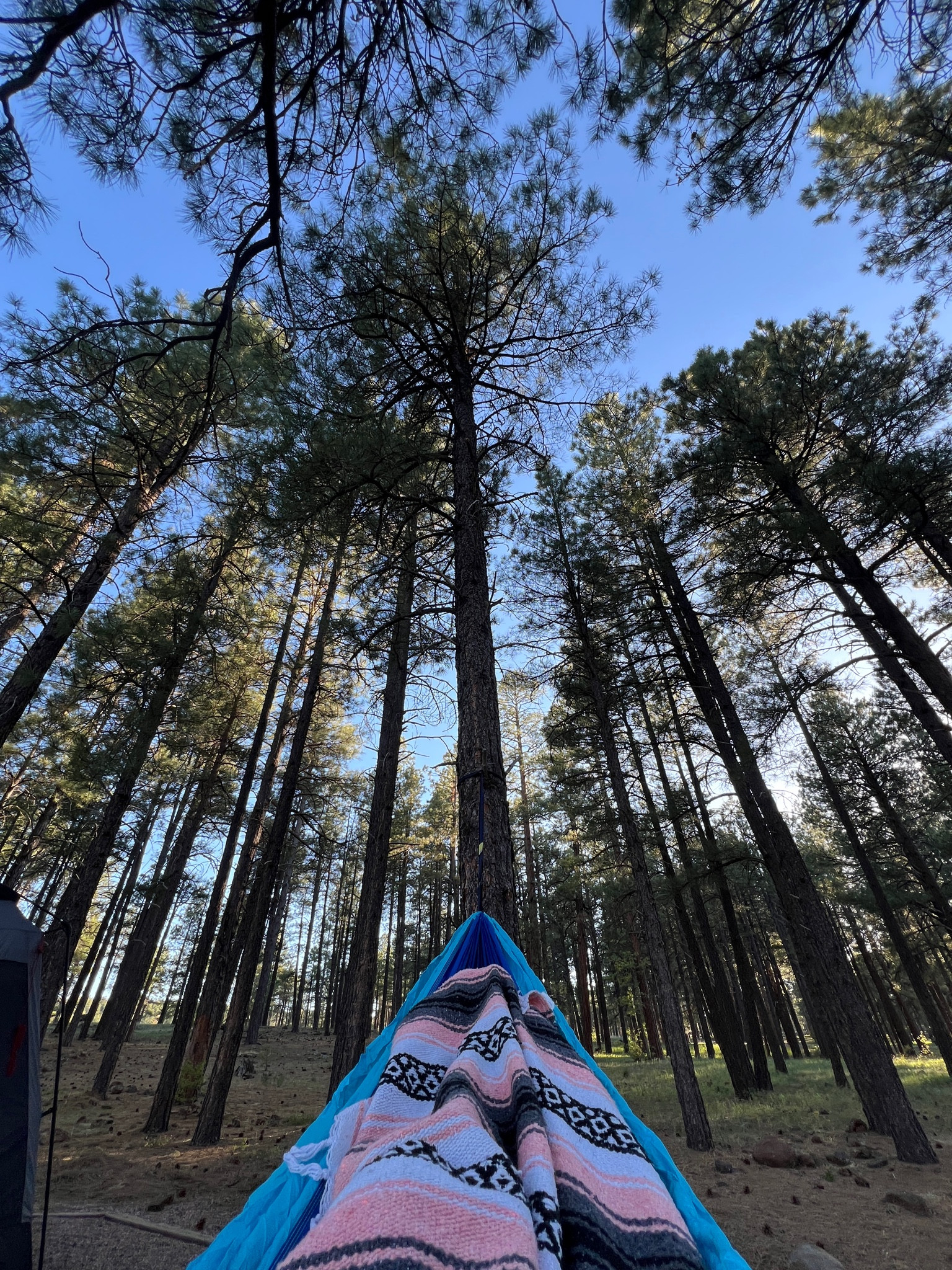 Hammock views 🌲

Camping, outdoor, outdoors, relaxing, relax, comfort, travel, vacation 

#LTKTravel #LTKActive #LTKFamily