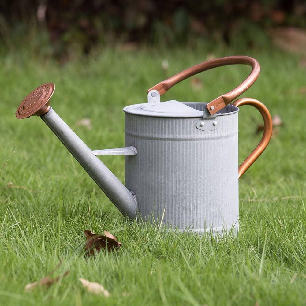 1 Gallon Watering Can, Farmhouse Watering Can, Metal Watering Can with Removable Spout, Galvanize... | Amazon (US)