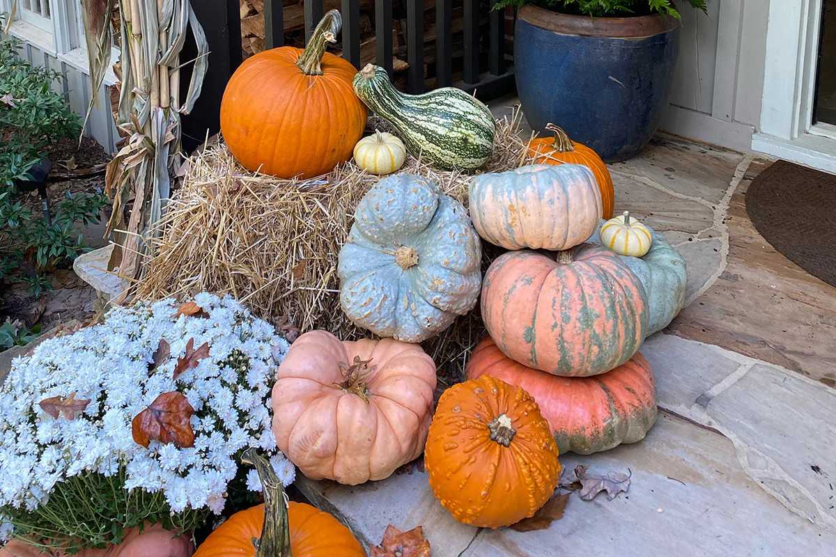 Week of 10/13 Pumpkin Package | Lucy's Market