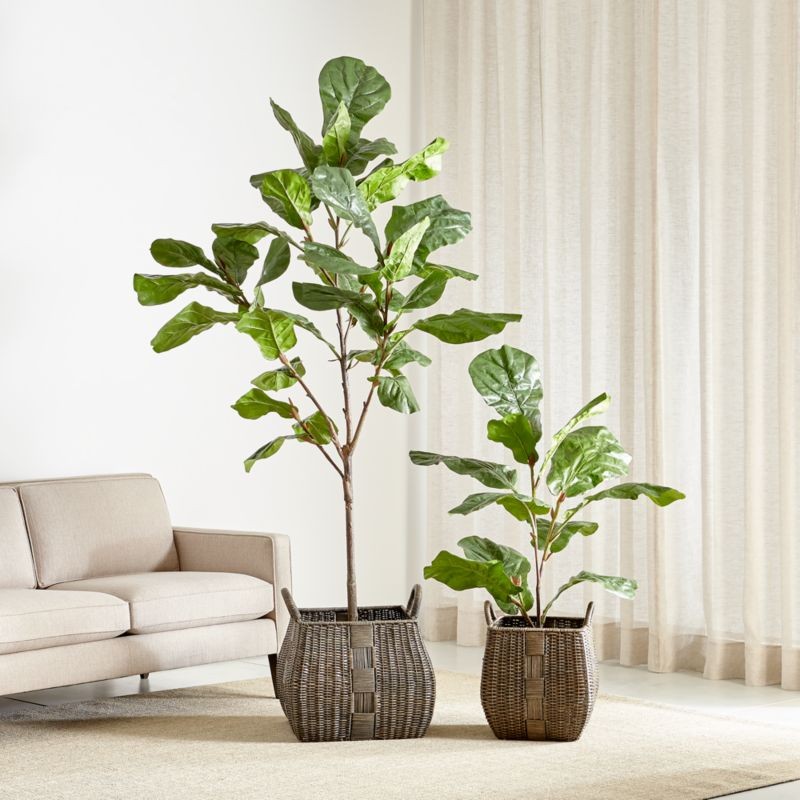 Artificial Fiddle Leaf Fig Trees | Crate and Barrel | Crate & Barrel
