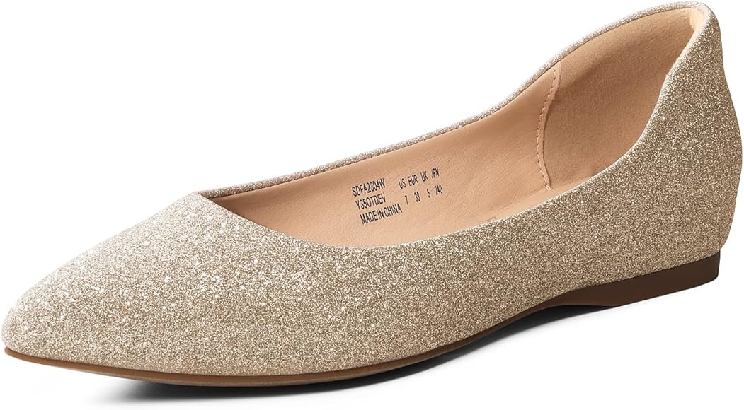 DREAM PAIRS Womens Ballet Flats, Comfortable Pointed Toe Business Casual Office Shoes for Women D... | Amazon (US)