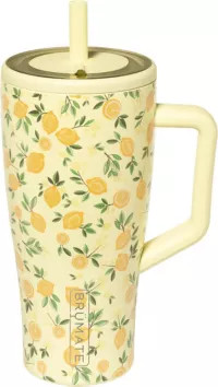 BruMate Era 30 oz. Straw Tumbler with Premium Finish | DICK'S Sporting Goods