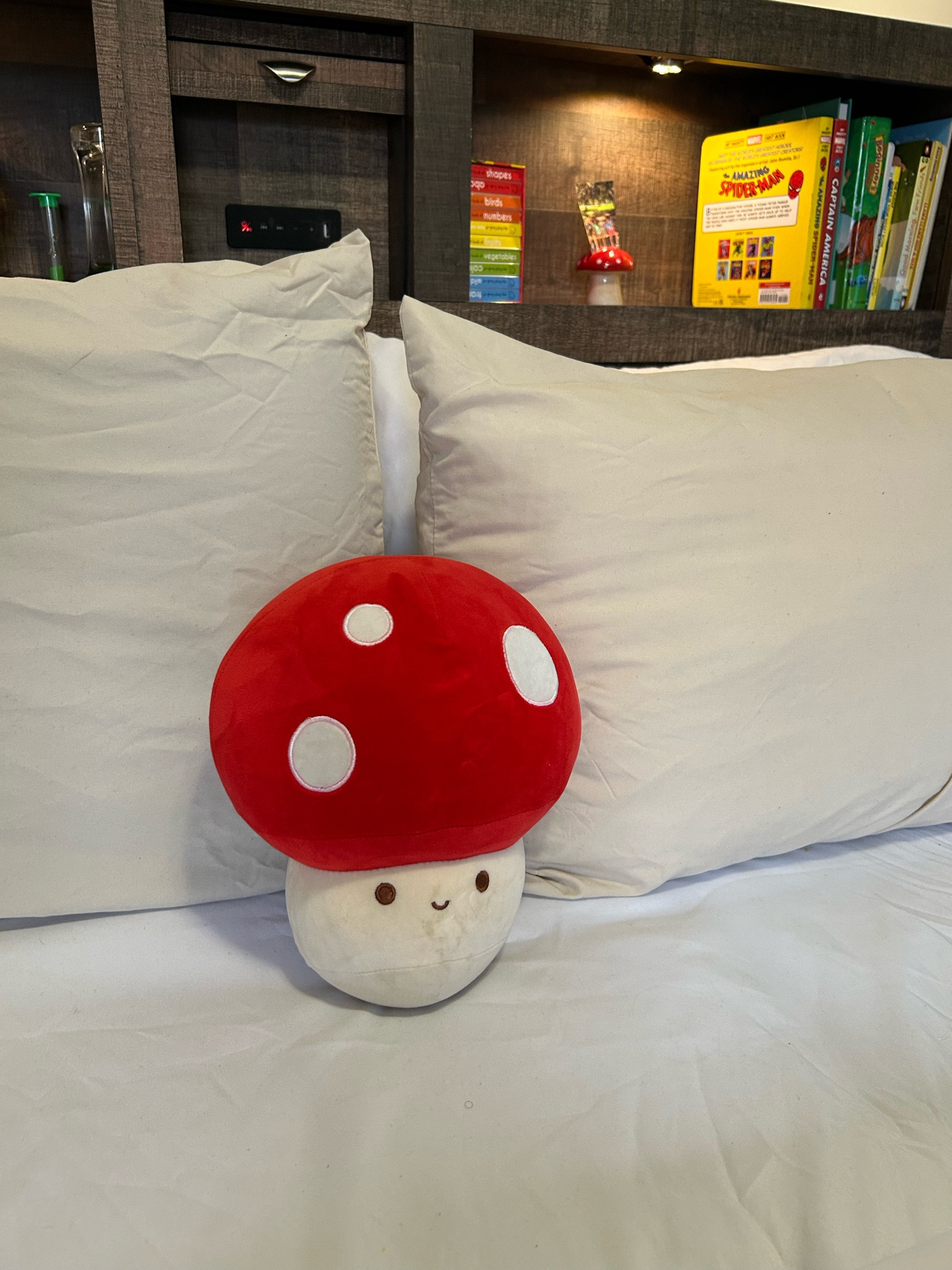 Boy Room Decor

#LTKU #LTKHome #LTKSeasonal