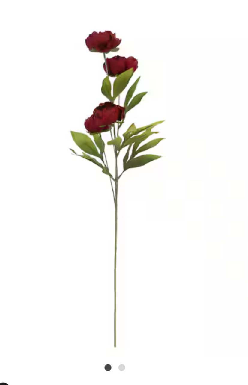 New burgundy peony stems

#LTKHome #LTKSaleAlert