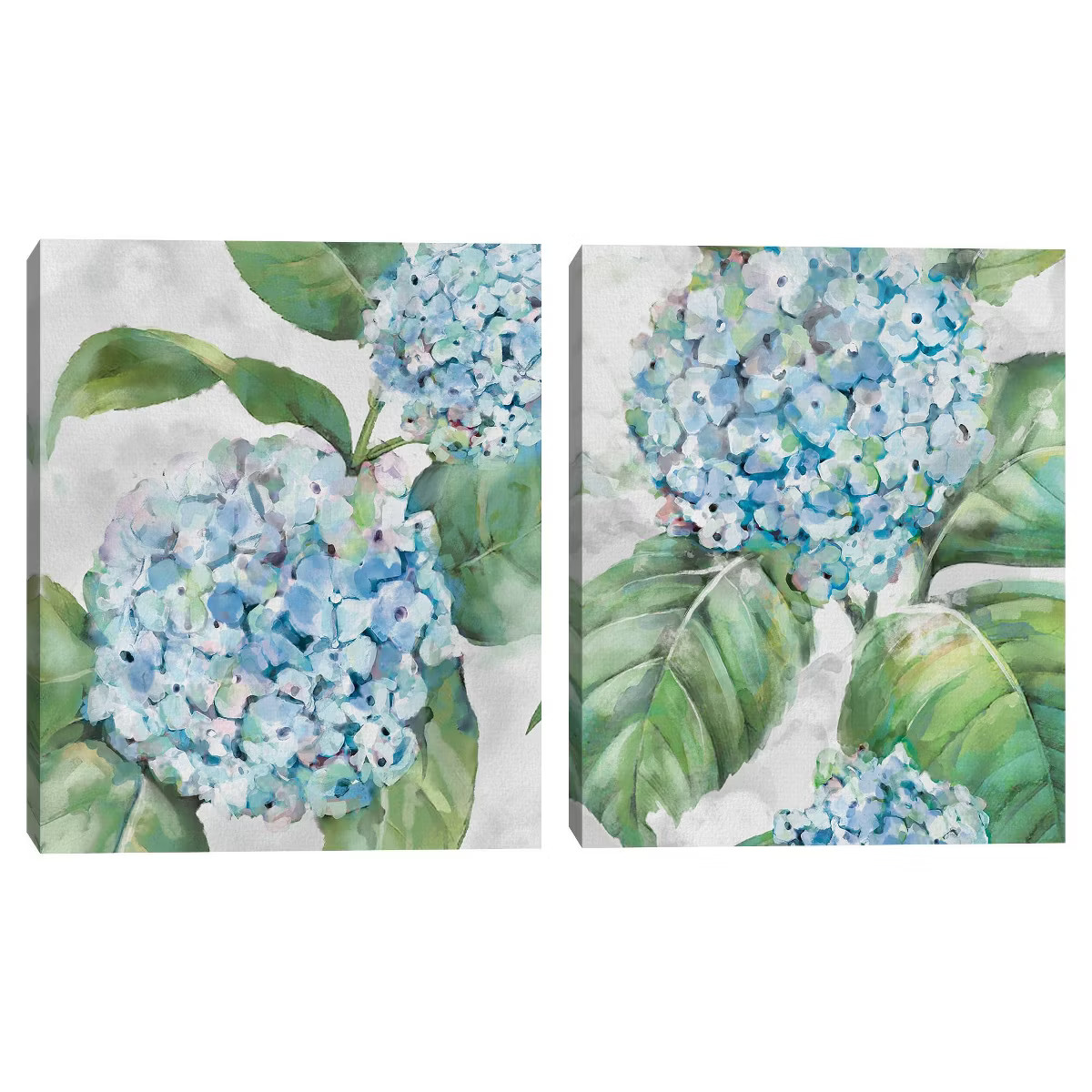 (Set of 2) 16" x 20" Hydrangea Portraits I and II by Studio Arts Canvas Art Prints - Masterpiece ... | Target