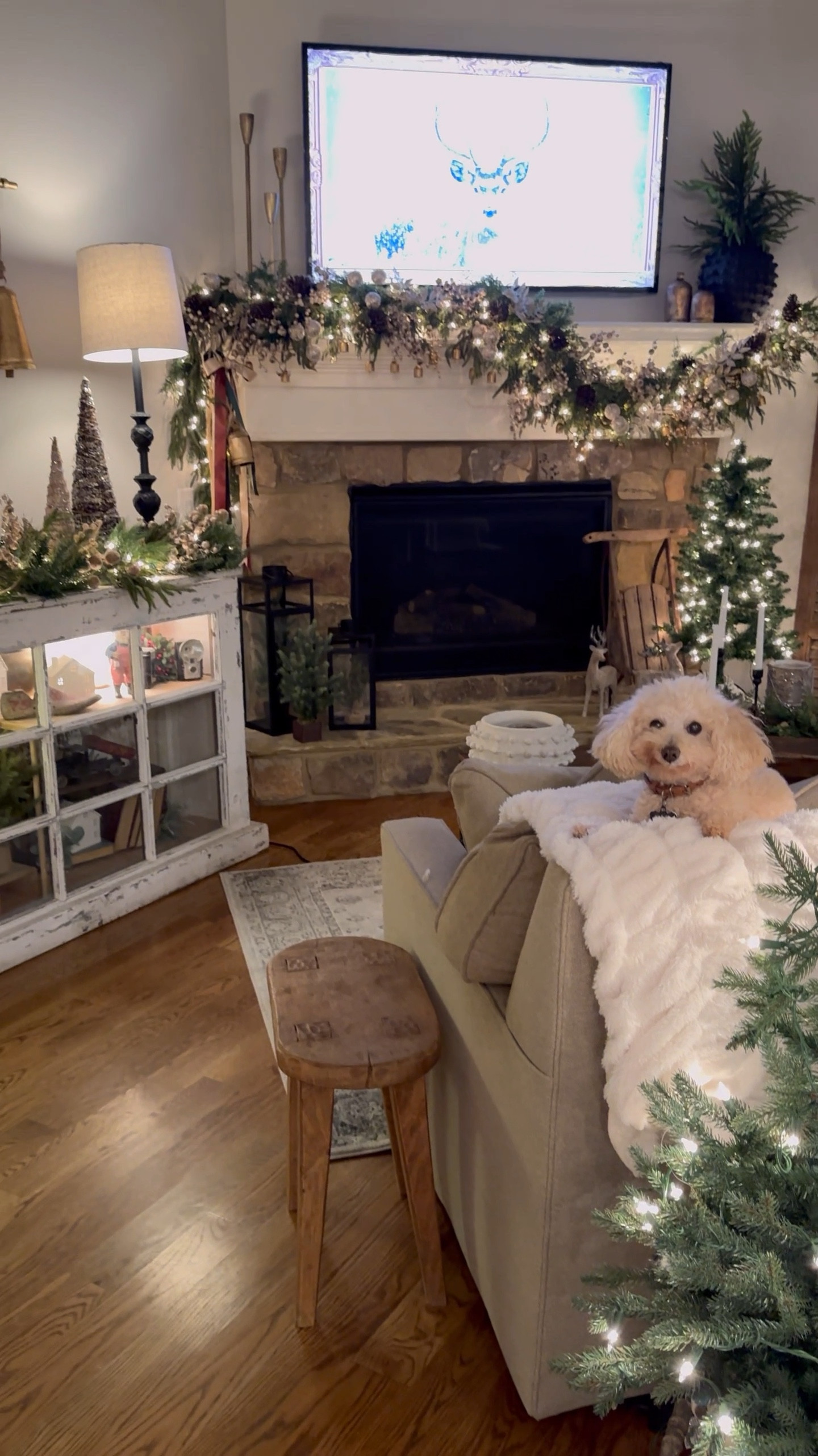 Cozy Christmas! Twinkling lights, cozy blankets, and cute puppies are what brings me joy this Holiday season. 

What brings you the most joy this Holiday season?  

#thesassyoak #cozychristmas #christmasdecor #christmasdecorations 


#LTKHoliday #LTKWatchNow #LTKHome