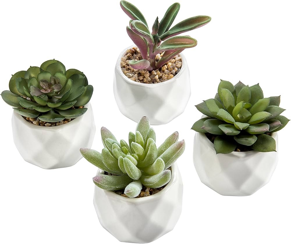 MyGift Miniature Artificial Succulents, Indoor Fake House Plants in Round White Geometric Ceramic... | Amazon (US)