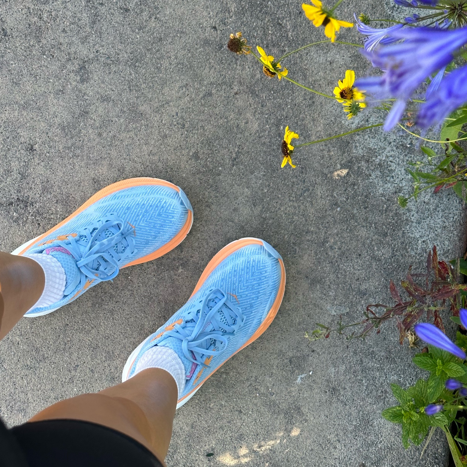 Fav walking shoes 

#LTKFind #LTKSeasonal