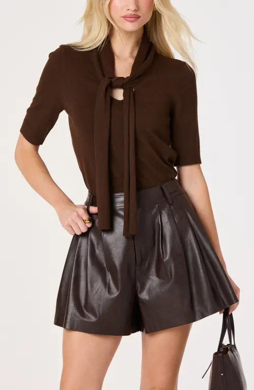ASTR the Label Agatha Tie Neck Sweater in Brown at Nordstrom, Size Large | Nordstrom
