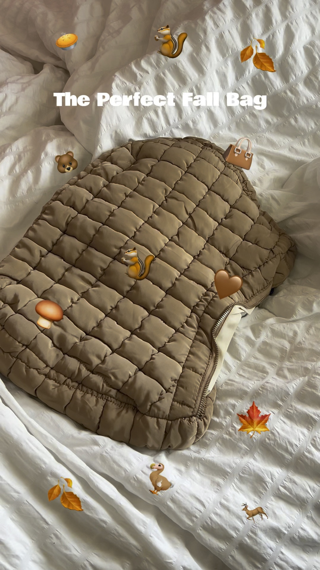 The perfect fall bag🤎

#LTKFallSale #LTKSeasonal #LTKU